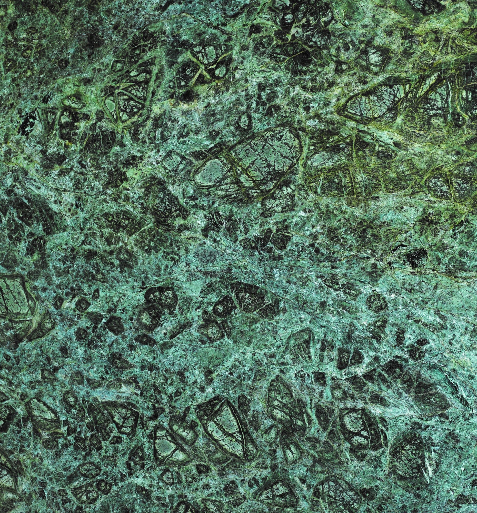 Green Marble marble - Premium natural stone surface