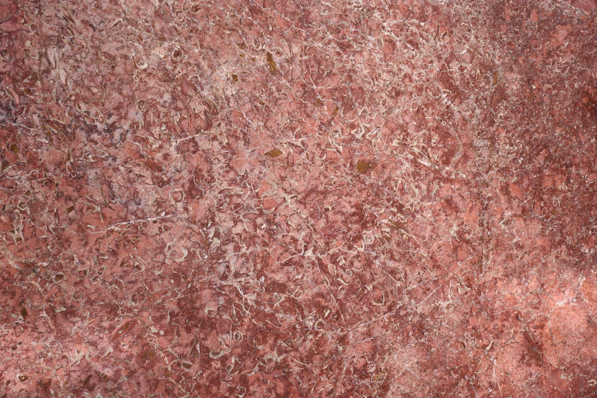 Red Marble marble - Premium natural stone surface